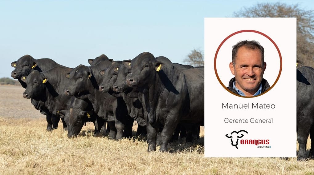 Entrevista Manuel Mateo Brangus